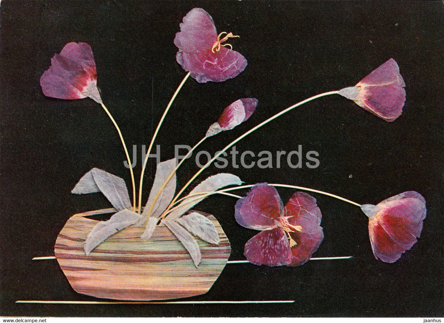 Godetia in a Vase - Flower Art - 1971 - Russia USSR - unused - JH Postcards