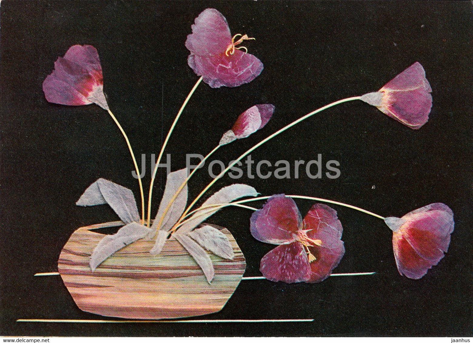 Godetia in a Vase - Flower Art - 1971 - Russia USSR - unused - JH Postcards