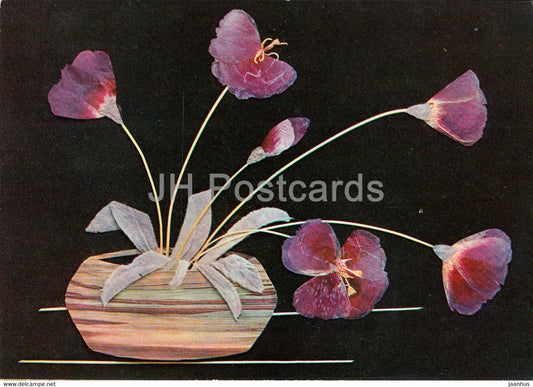 Godetia in a Vase - Flower Art - 1971 - Russia USSR - unused - JH Postcards
