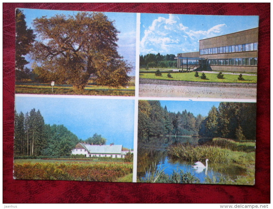 Polli experimental centre  - multi-view card - swan - birds - 1982 - Estonia - USSR - unused - JH Postcards