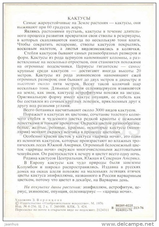 Selenicereus - Prickly pear - Astrophytum - Epiphyllum - Cactus - Amazing Plants - 1976 - Russia USSR - unused - JH Postcards