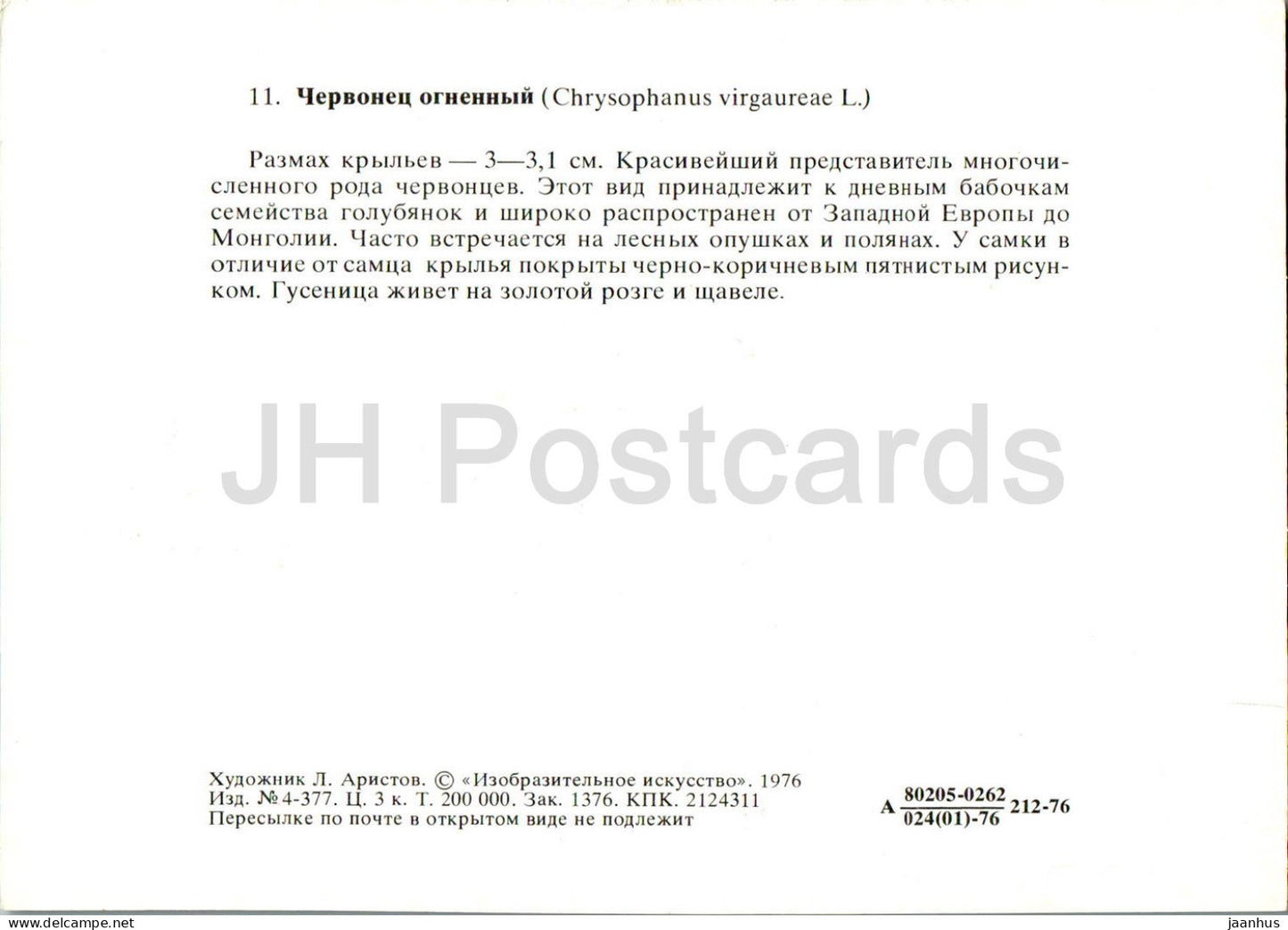 Cuivre rare - Lycaena virgaureae - papillon - papillons - 1976 - Russie URSS - inutilisé 