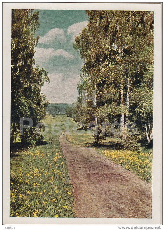 Road to the Voronka river - Russian writer Leo Tolstoy House Museum - Yasnaya Polyana - 1963 - Russia USSR - unused - JH Postcards