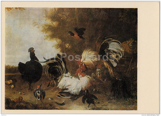 painting by Melchior d'Hondecoeter - Cockfighting - Dutch art - Latvia USSR - unused - JH Postcards