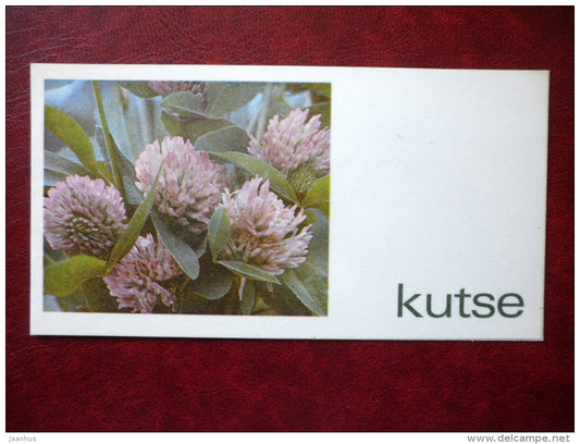 invitation card - clover - 1982 - Estonia USSR - unused - JH Postcards