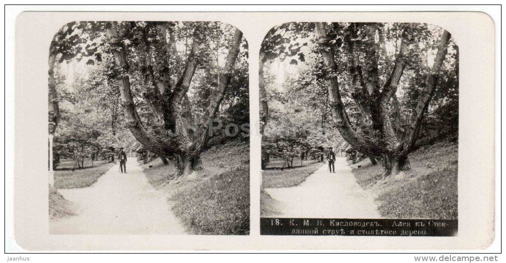 alley near Steklyannaya Struya - Kislovodsk - Caucasus - Russia - Russie - stereo photo - stereoscopique - old photo - JH Postcards