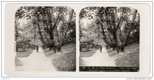 alley near Steklyannaya Struya - Kislovodsk - Caucasus - Russia - Russie - stereo photo - stereoscopique - old photo - JH Postcards