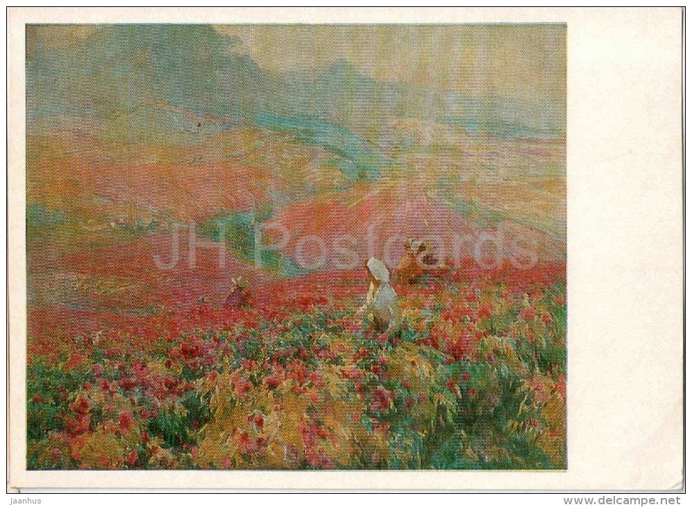 painting by O. Dudina - Young vineyards , 1960 - russian art - unused - JH Postcards