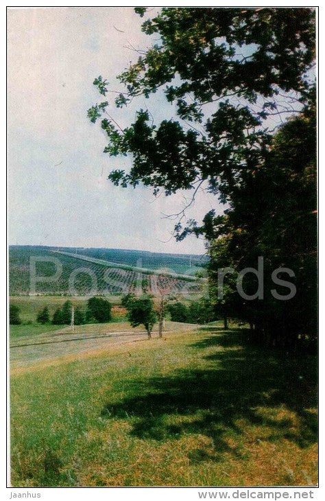 Muravelnyi Forest - Lenin House Museum in Alakayevka - 1973 - Russia USSR - unused - JH Postcards