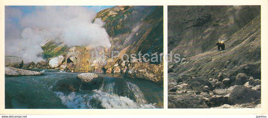 Kamchatka - in the valley of geysers - bear - 1981 - Russia USSR - unused - JH Postcards