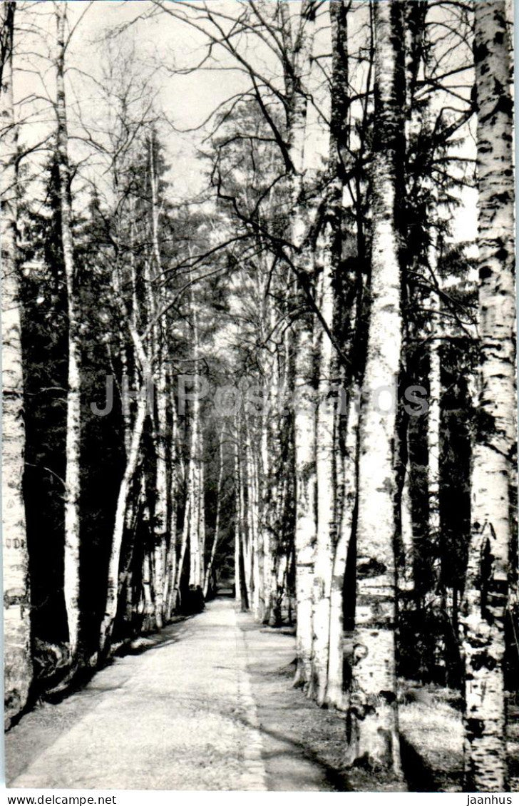 Russian Artist Repin Museum in Penaty - The Park - 1975 - Russia USSR - unused - JH Postcards