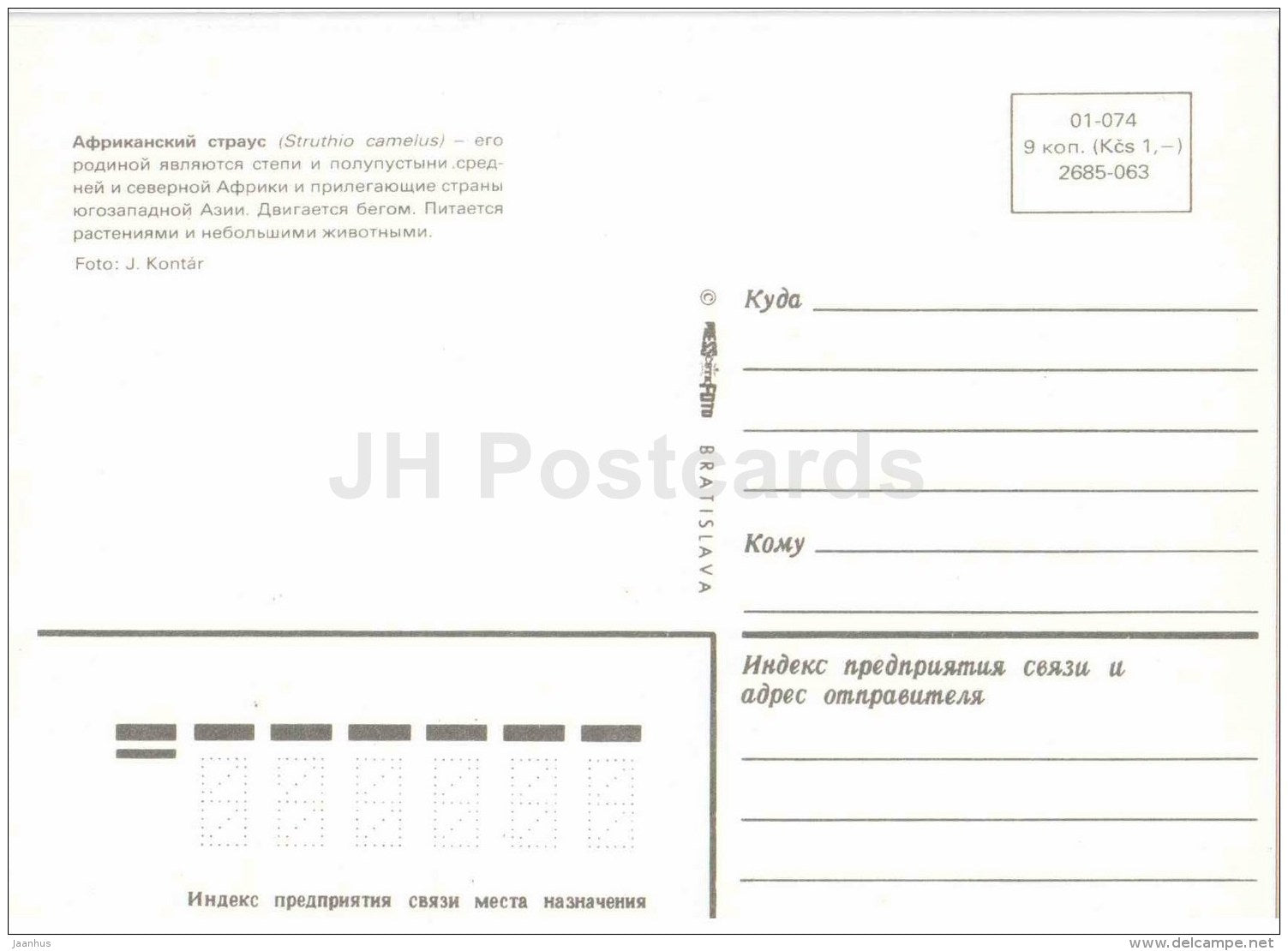 Ostrich - Struthio camelus - bird - Zoo Animals - Czehoslovakia - unused - JH Postcards