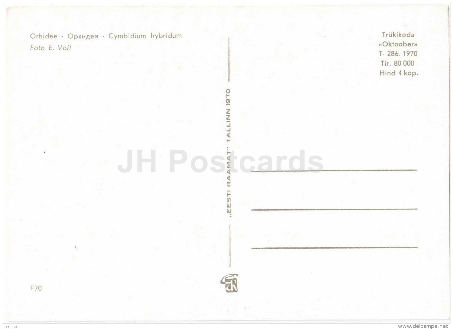 Orchid - Cymbidium Hybridum - flowers - 1970 - Estonia USSR - unused - JH Postcards