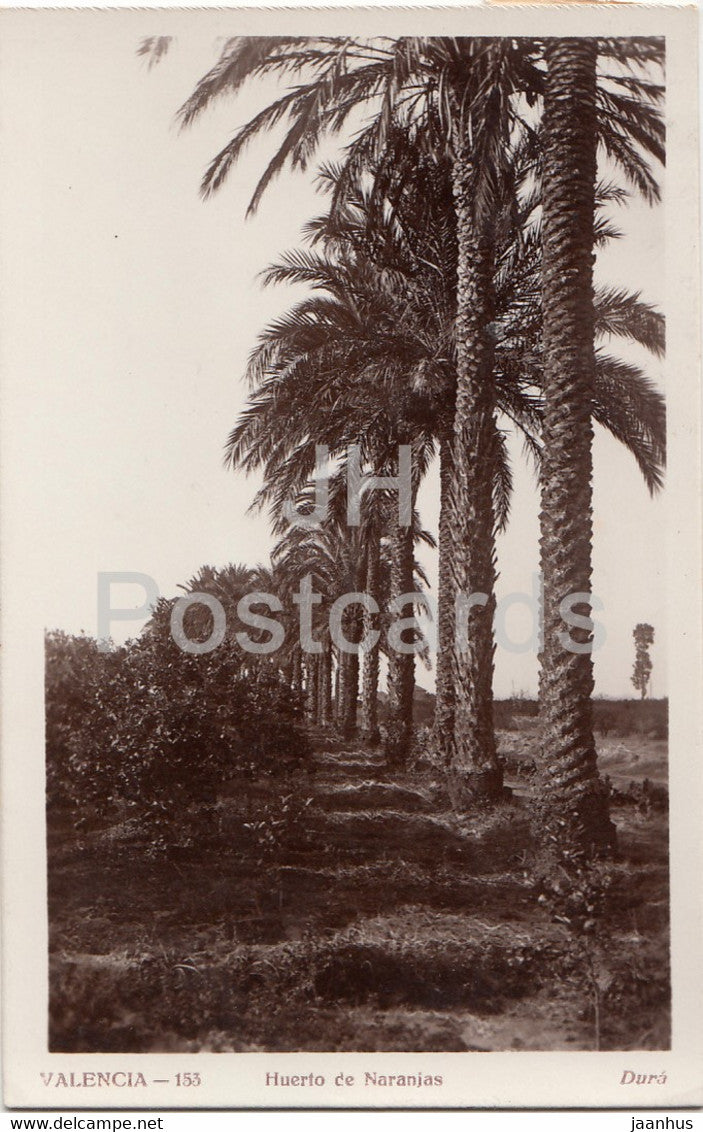 Valencia - Huerto de Naranjas - 153 - old postcard - 1936 - Spain - used - JH Postcards