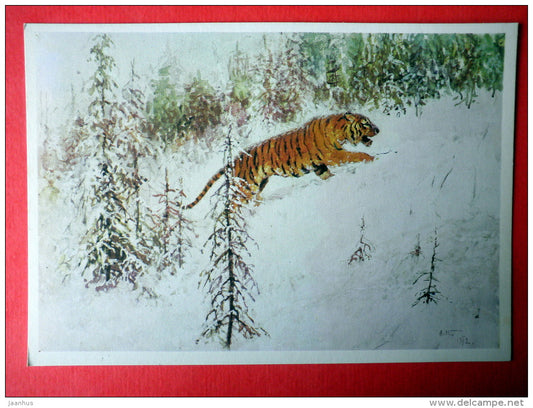 illustration by A. Komarov - Amur Tiger - Panthera tigris altaica - 1975 - Russia USSR - unused - JH Postcards