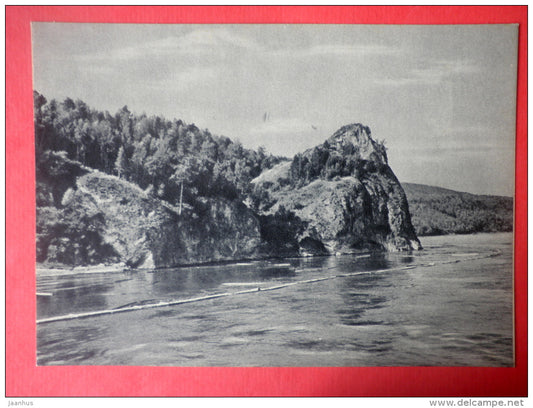 Taiga coast - Yenisei River - 1956 - Russia USSR - unused - JH Postcards