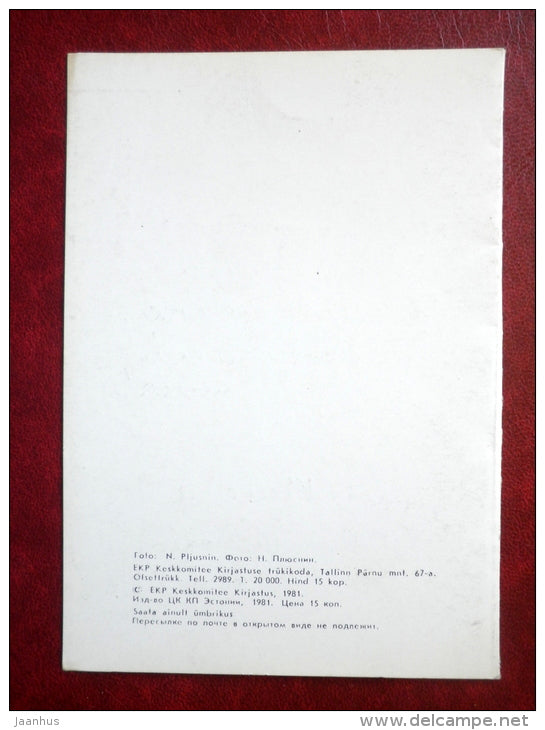 greeting card - roses - 1981 - Estonia USSR - used - JH Postcards