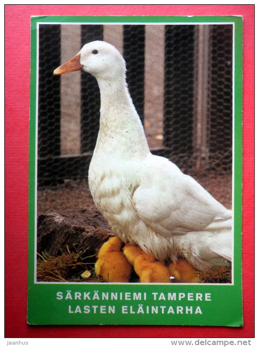 Goose - goslings - 590/99 - Särkänniemi - Tampere - Sweden - sent from Finland Turku to Estonia USSR 1980 - JH Postcards