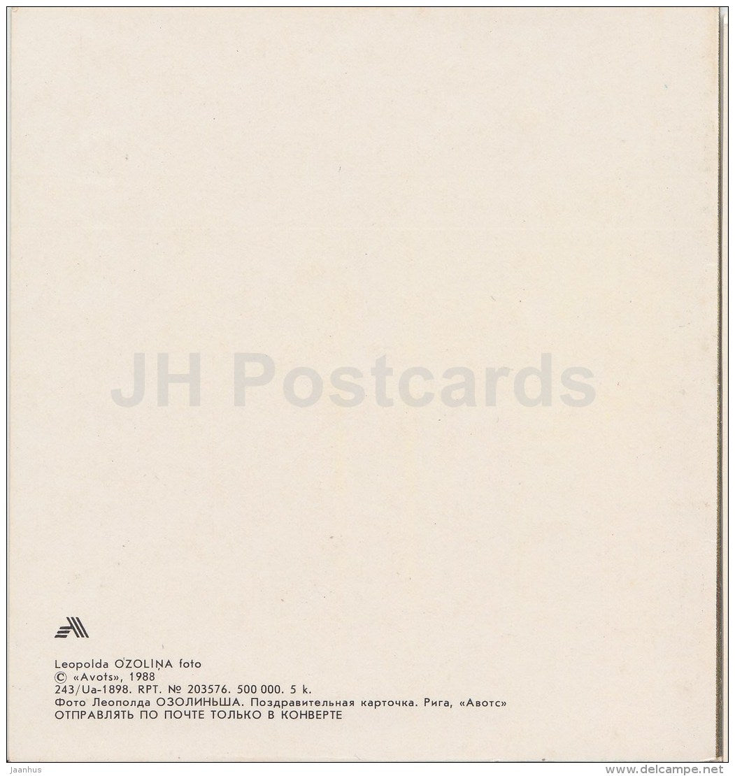 mini Birthday Greeting card - yellow flower - flowers - 1988 - Latvia USSR - unused - JH Postcards