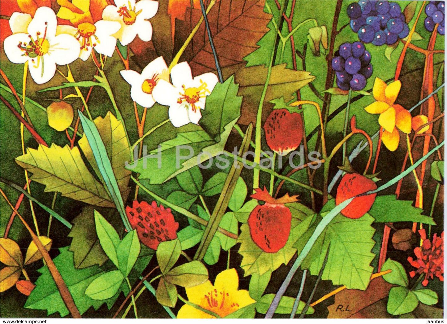 Greeting Card - by R. Lukk - Wild strawberry - plants - 1985 - Estonia USSR - unused - JH Postcards