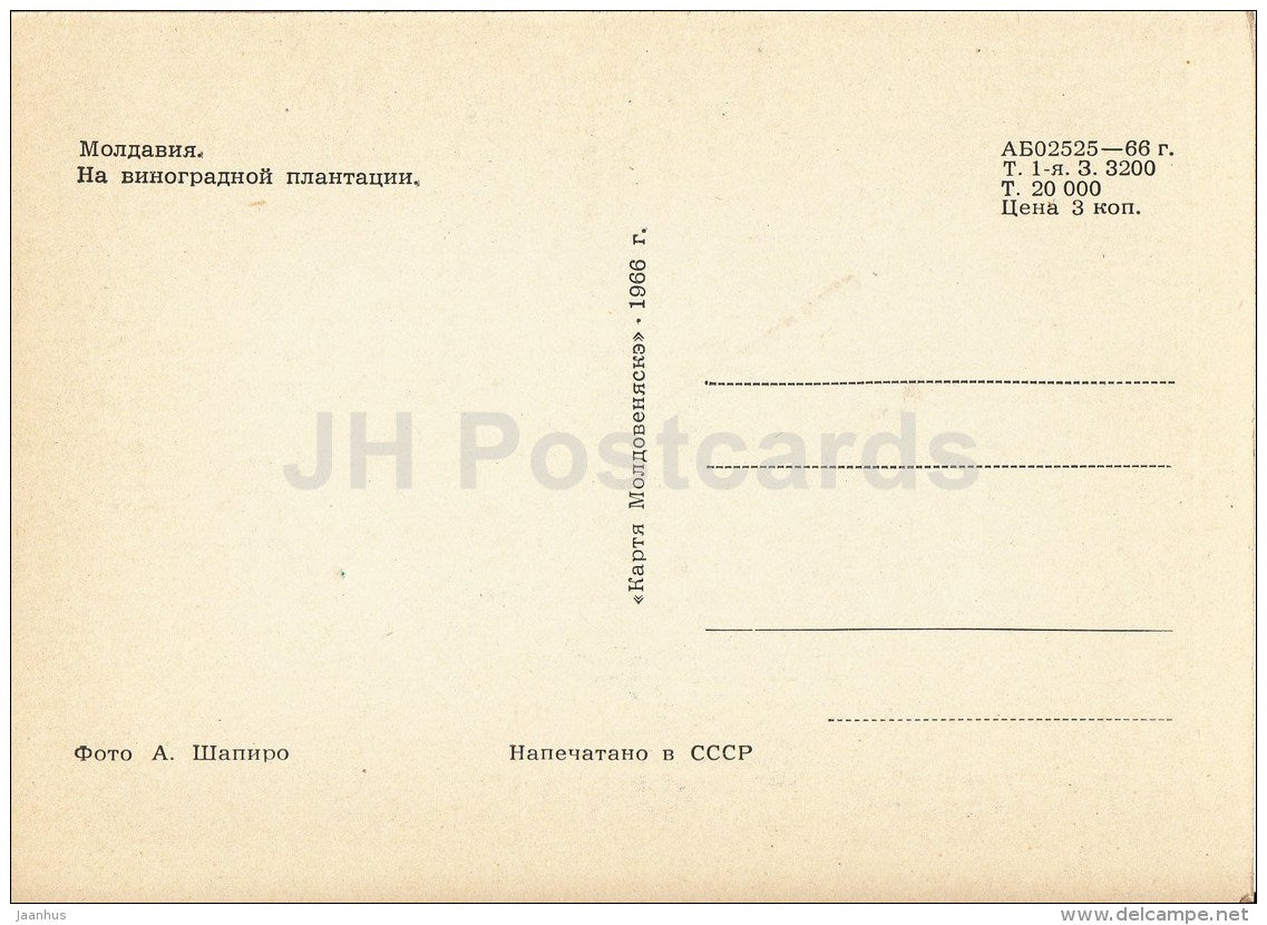 Grape Plantation - 1966 - Moldova USSR - unused - JH Postcards
