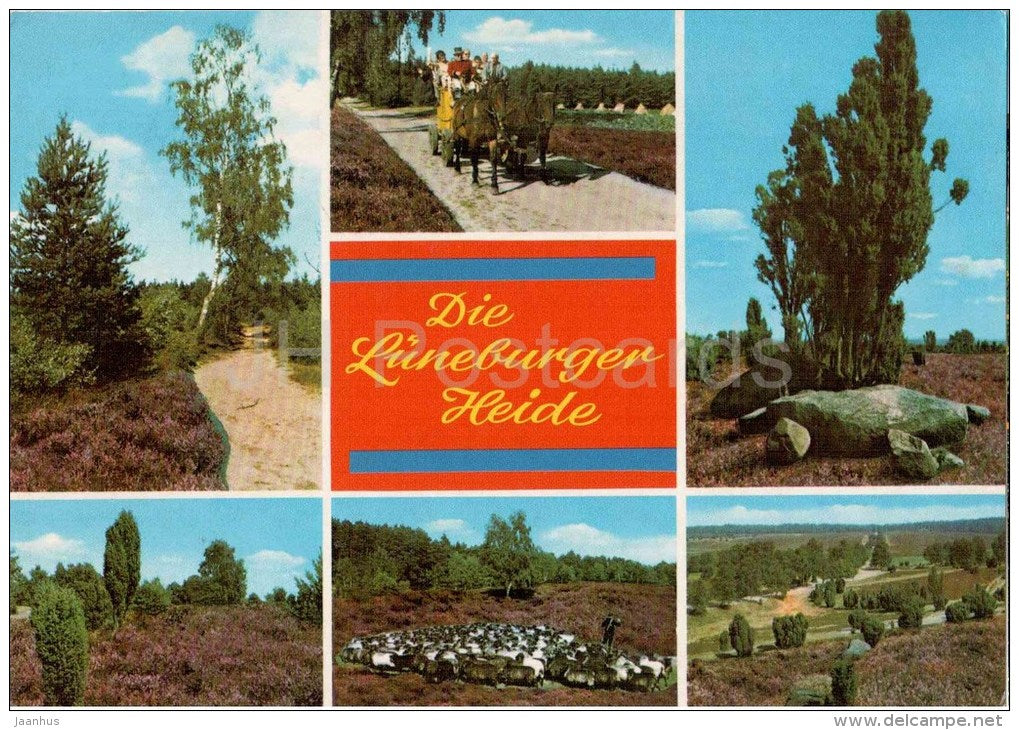 Lüneburger Heide - Germany - 1987 gelaufen - JH Postcards