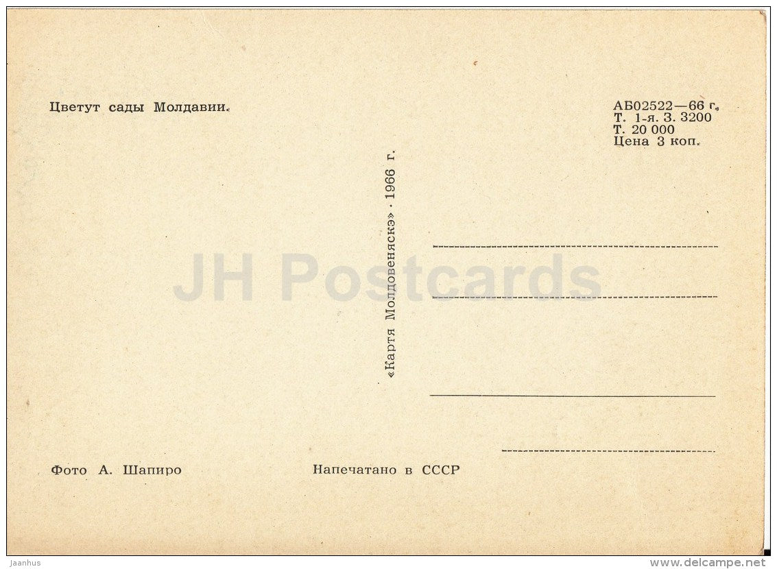 Pushkin Park - Chisinau - Kishinev - 1966 - Moldova USSR - unused - JH Postcards