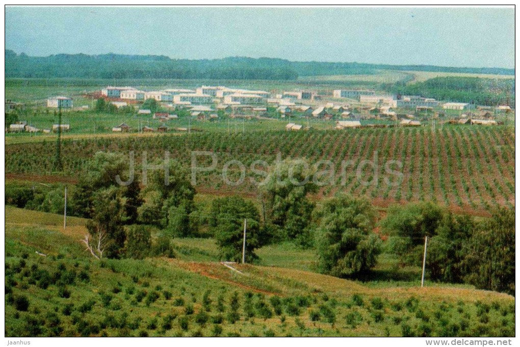 general view of the village - Lenin House Museum in Alakayevka - 1973 - Russia USSR - unused - JH Postcards
