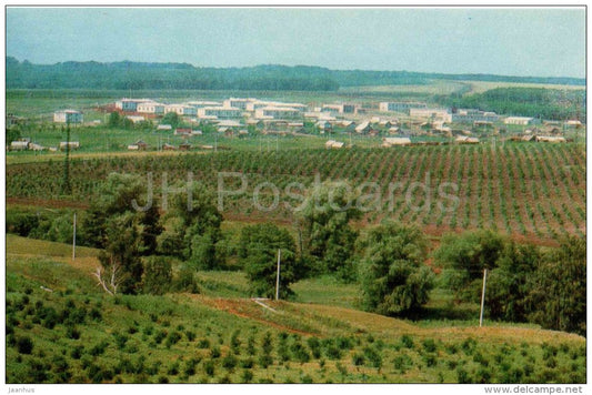 general view of the village - Lenin House Museum in Alakayevka - 1973 - Russia USSR - unused - JH Postcards