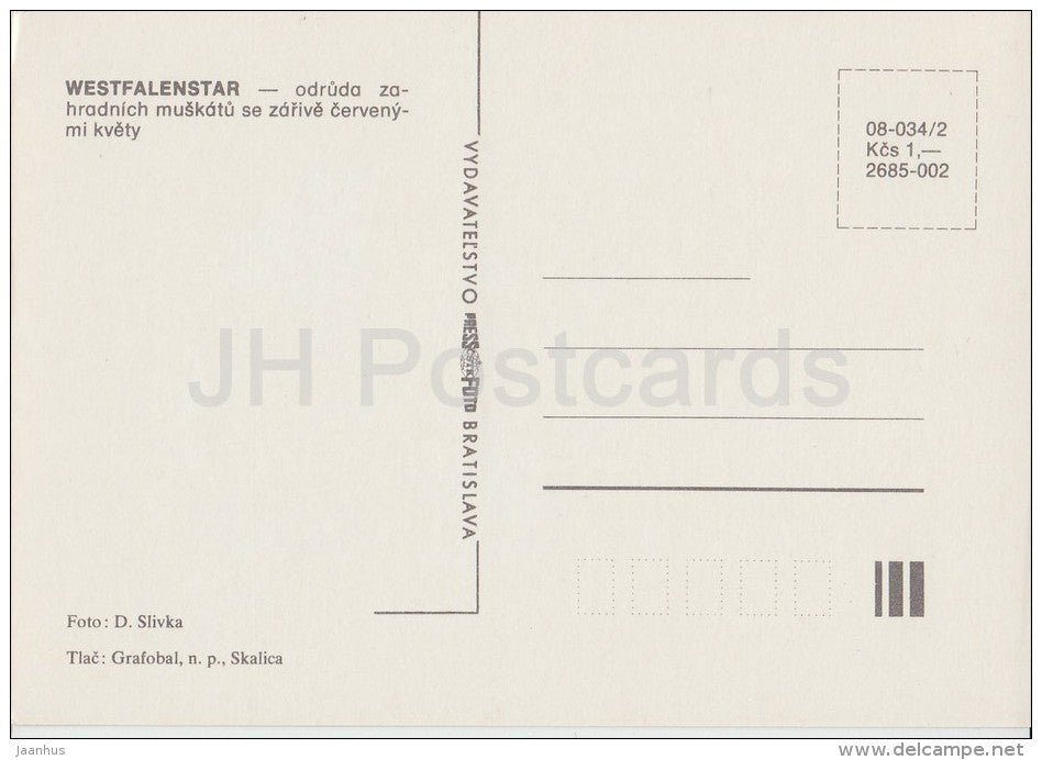 Westfalenstar - flowers - Geranium - 1985 - Czech - Czechoslovakia - unused - JH Postcards