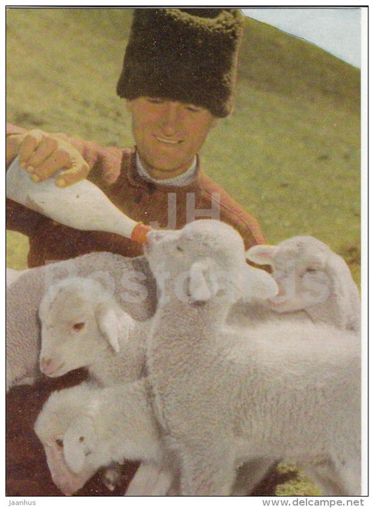 caring shepherd - lamb - 1966 - Moldova USSR - unused - JH Postcards