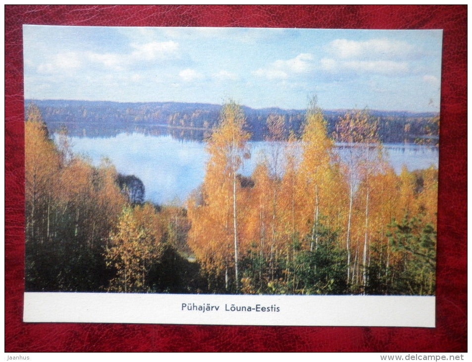 lake Pühajärv - South Estonia - 1975 - Estonia - USSR - unused - JH Postcards