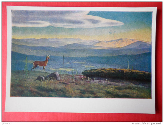 painting by Rockwell Kent - Valley in the Adirondack Mountains . Northern Greenland . 1950 - deer - art of USA - unused - JH Postcards