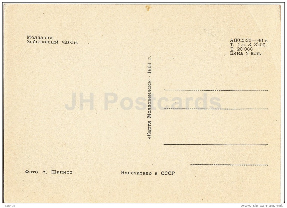 caring shepherd - lamb - 1966 - Moldova USSR - unused - JH Postcards