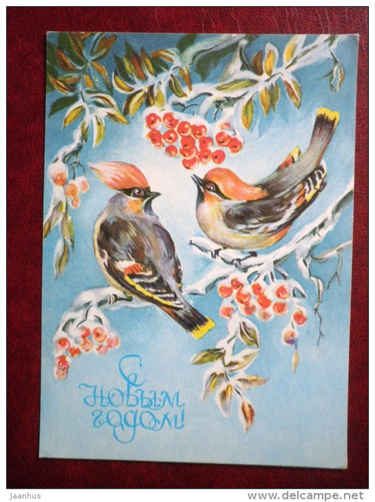 New Year Greeting card - by L. Kuliyeva - birds - rowan berries - 1979 - Russia USSR - used - JH Postcards