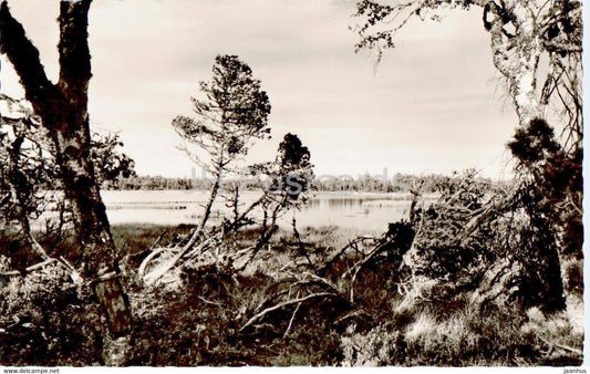 Wildsee 905 m zwischen Kaltenbronn und Wildbad - old postcard - 1961 - Germany - used - JH Postcards