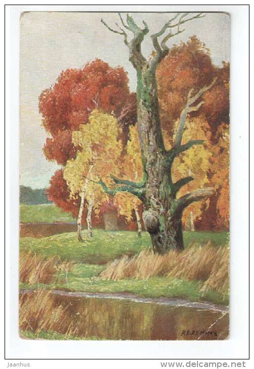 illustration by Kemmak - nature - old tree - Peluba 281 - old postcard - circulated in Estonia 1928 Pärnu Tapa - used - JH Postcards