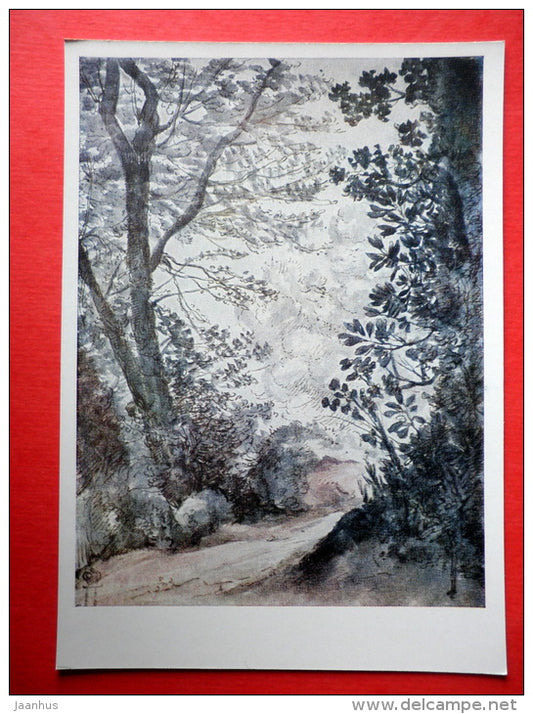 drawing by Giovanni Desideri - Forest Road - italian art - unused - JH Postcards