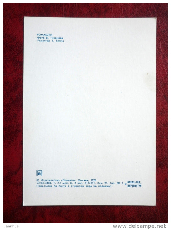 chamomile - flowers - 1976 - Russia - USSR - unused - JH Postcards