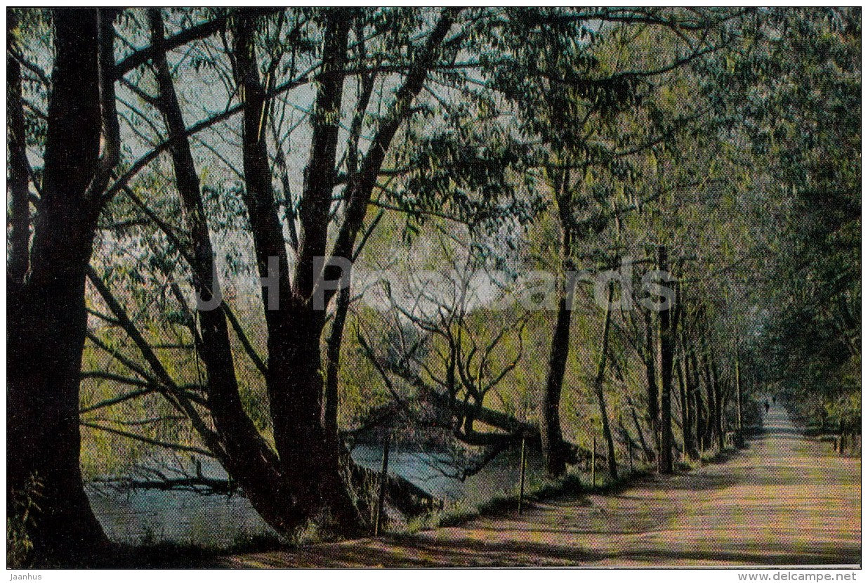 The Preshpekt avenue - Russian writer Leo Tolstoy Museum - Yasnaya Polyana - 1971 - Russia USSR - unused - JH Postcards