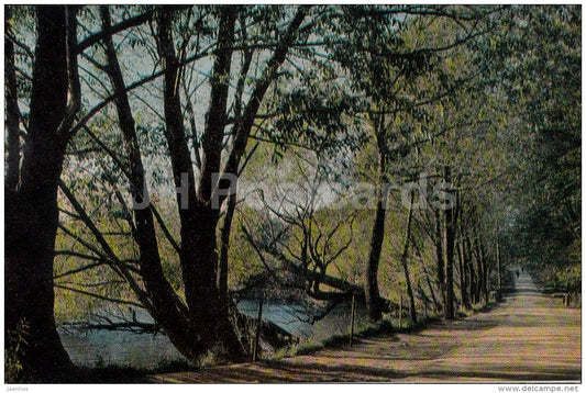 The Preshpekt avenue - Russian writer Leo Tolstoy Museum - Yasnaya Polyana - 1971 - Russia USSR - unused - JH Postcards