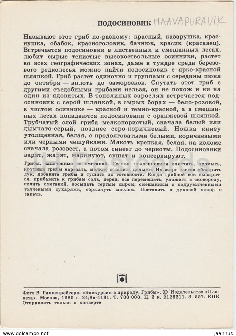 Aspen mushroom - Leccinum - Mushrooms - 1980 - Russia USSR - unused - JH Postcards
