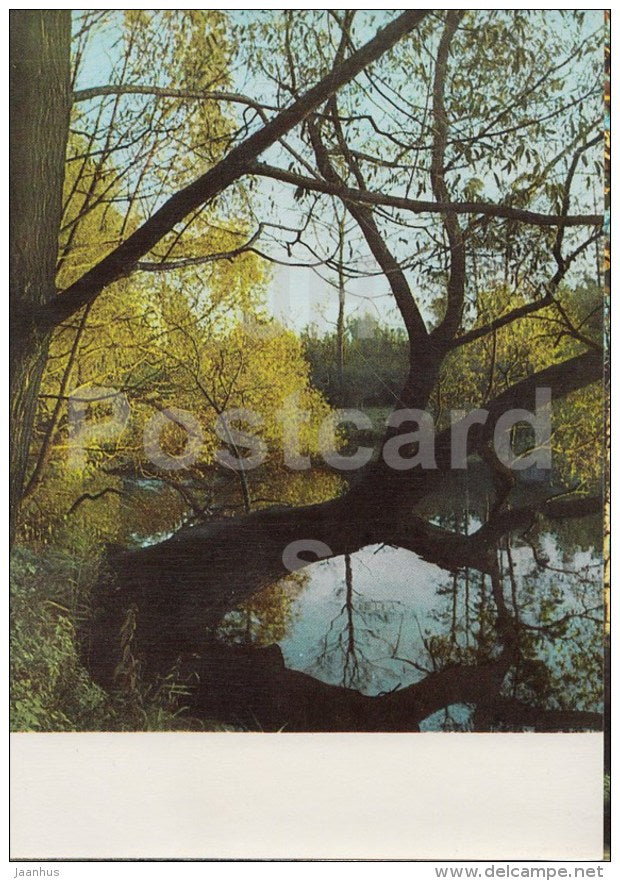 The Large Pond - Russian writer Leo Tolstoy Museum - Yasnaya Polyana - 1967 - Russia USSR - unused - JH Postcards