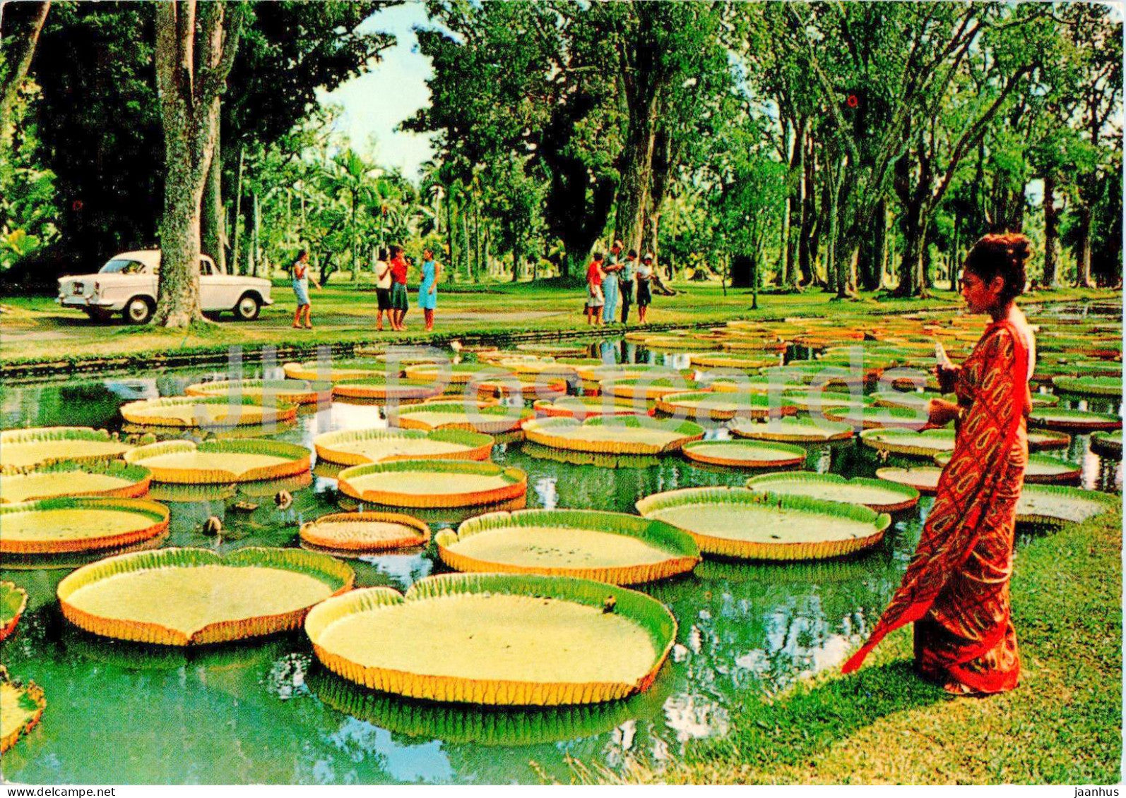 Pamplemousses Gardens - Jardin de Pamplemousses - 31 - 1979 - Mauritius - used - JH Postcards