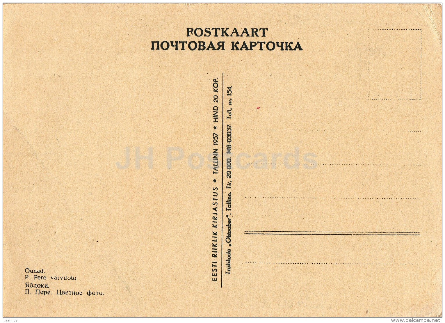 Apple Tree - apples - 1957 - Estonia USSR - unused - JH Postcards