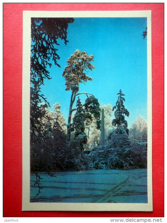 The Kagul Obelisk , 18th century - Town of Pushkin - The Parks at Pushkin - 1971 - Russia USSR - unused - JH Postcards