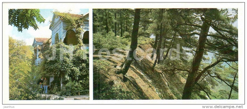 Korolenko house-museum - pine trees near sea - Gelendzhik - 1980 - Russia USSR - unused - JH Postcards