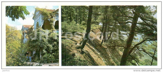 Korolenko house-museum - pine trees near sea - Gelendzhik - 1980 - Russia USSR - unused - JH Postcards