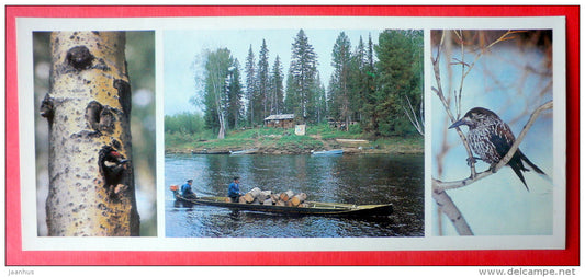 woodpecker - Spotted nutcracker - boat - Pechora-Ilych Nature Reserve - Komi Republic - 1982 - Russia USSR - unused - JH Postcards