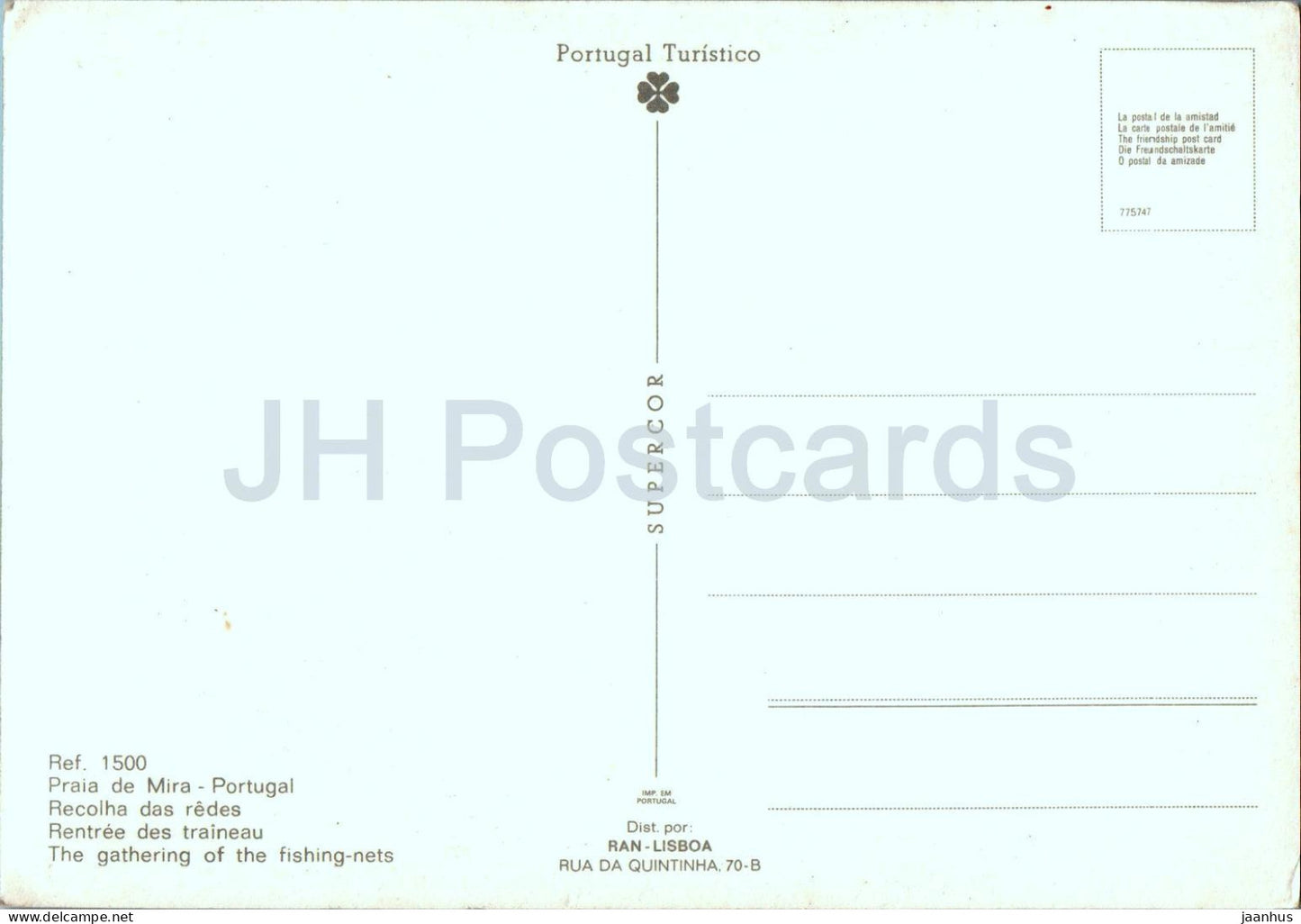 Praia de Mira - La collecte des filets de pêche - taureau - animaux - 1500 - Portugal - inutilisé 